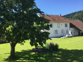 Gîte Léonline sur les hauteurs de Masevaux -au pied des Vosges, Masevaux